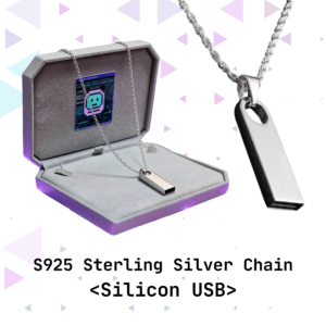 [MAE_SOURCE_01].usb | Silver Necklace